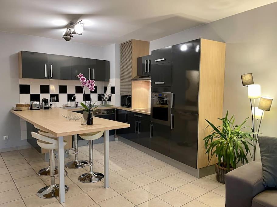 L'Ideal Cosy-Wifi-Netflix Et Garage Вьен Экстерьер фото