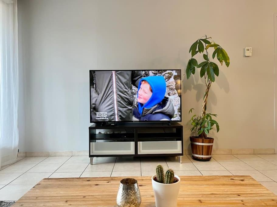 L'Ideal Cosy-Wifi-Netflix Et Garage Вьен Экстерьер фото