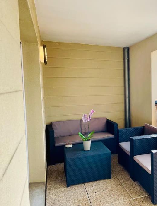 L'Ideal Cosy-Wifi-Netflix Et Garage Вьен Экстерьер фото